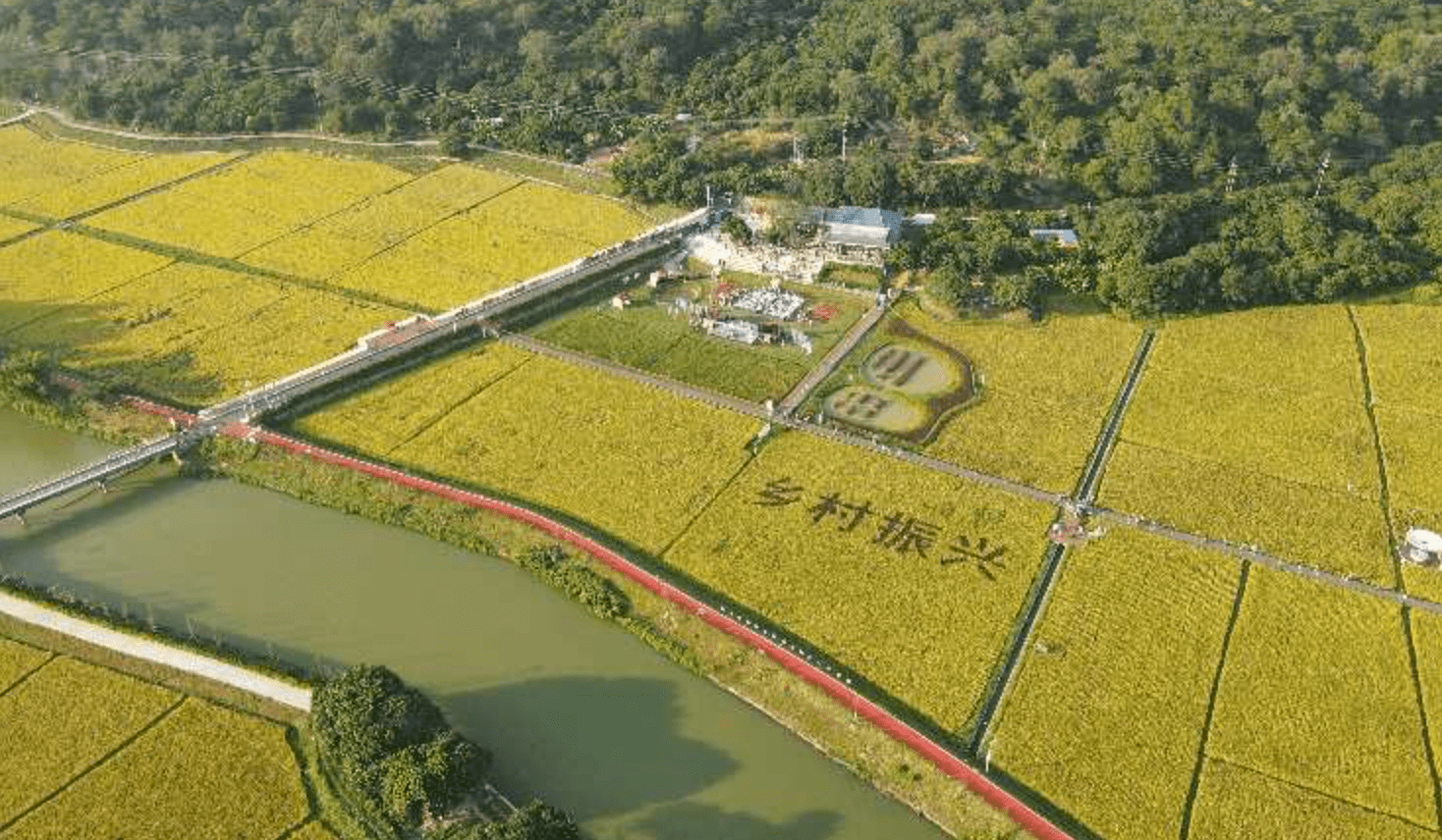 一把手訪談 | 從化區委書記莊悅群:強化綠色擔當,推動綠色轉型