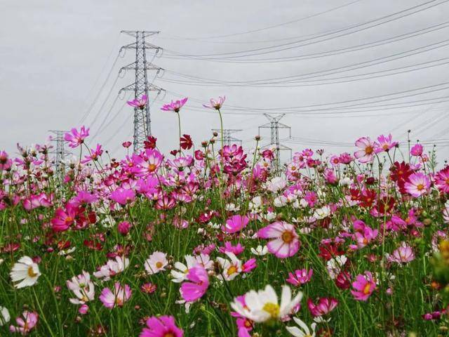 67南沙|11.11.11.11!马克生态园正式开业啦_克村