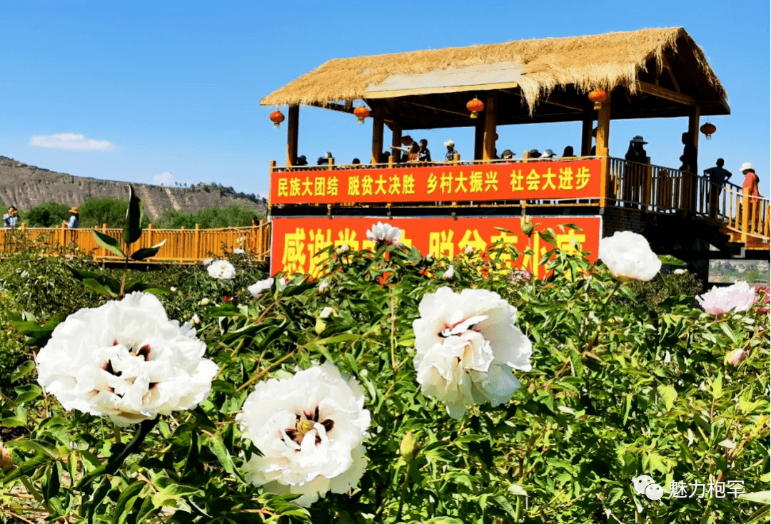 青寺村充分利用枹罕山庄等景区景点优势,加强农村旅游资源配置,调整和