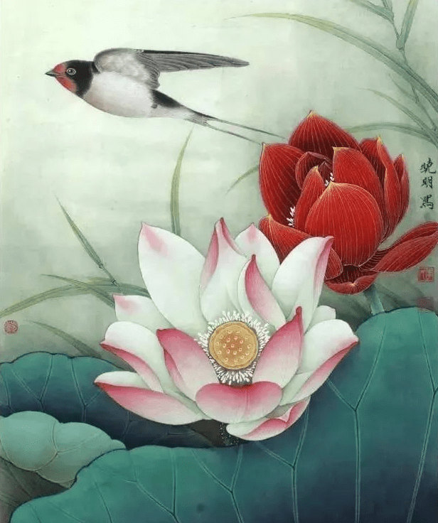 精品荷花37张,百看不厌!_工笔画