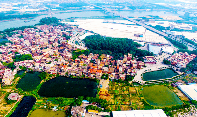 南庄乡村振兴花开朵朵,十多个村竞选禅城十大古村