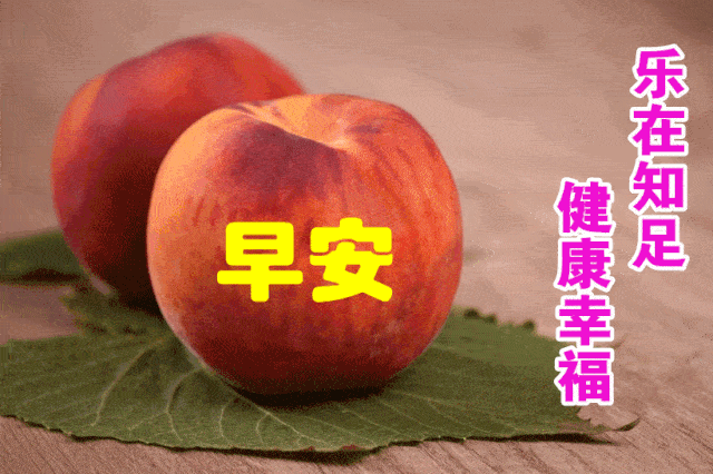 最新版非常漂亮的早上好表情图片 温馨早安心语语录