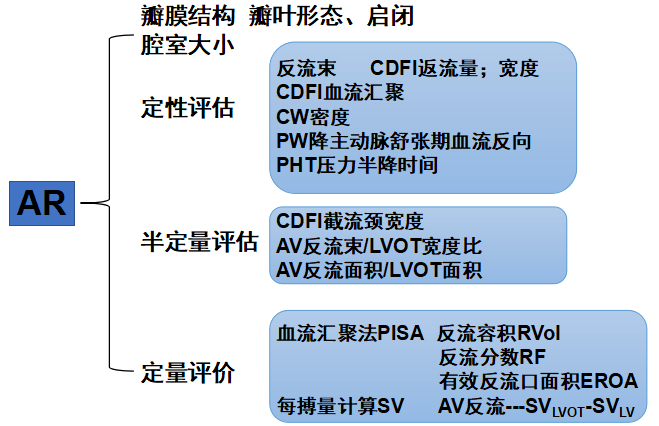 超声心动图对主动脉瓣反流严重程度的评估_瓣膜