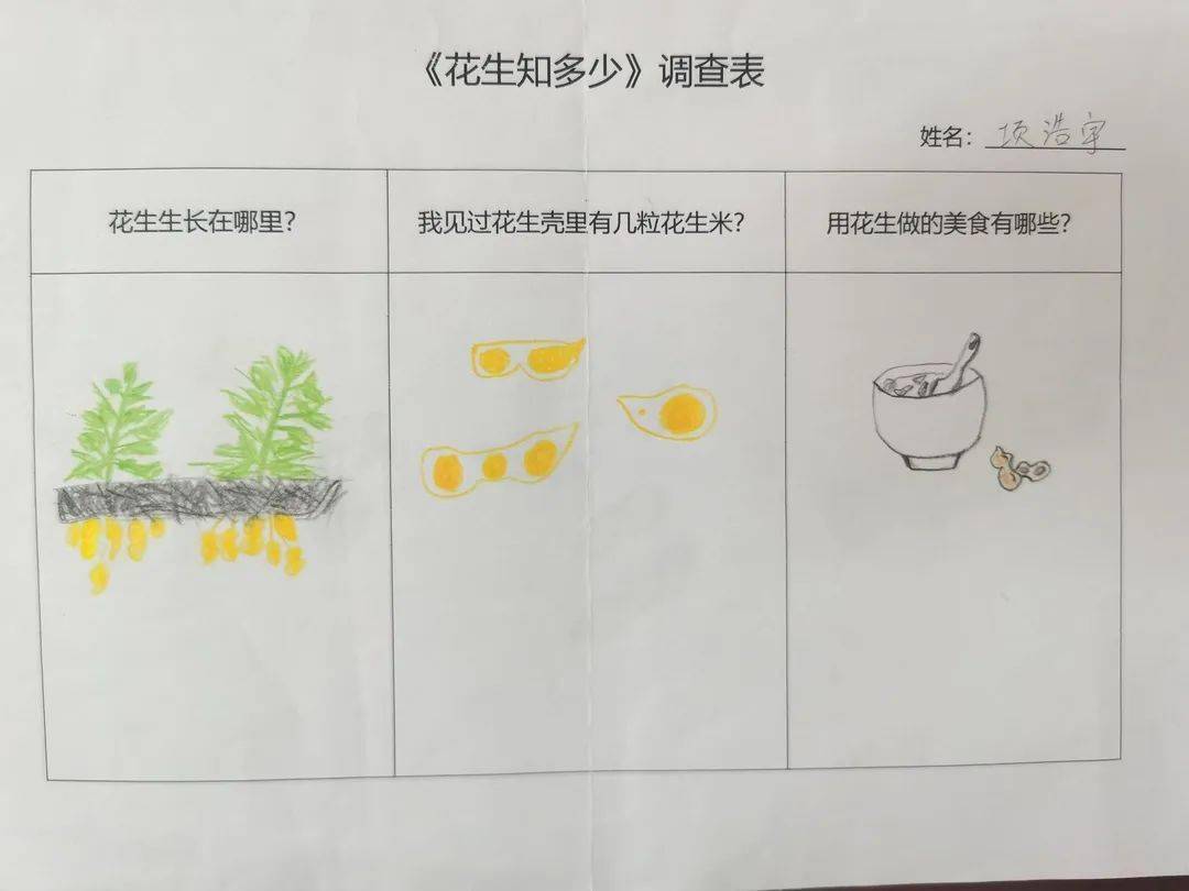 花生小调查查课程思维导图…那花生藏到哪里去了呢?花生肯定藏起