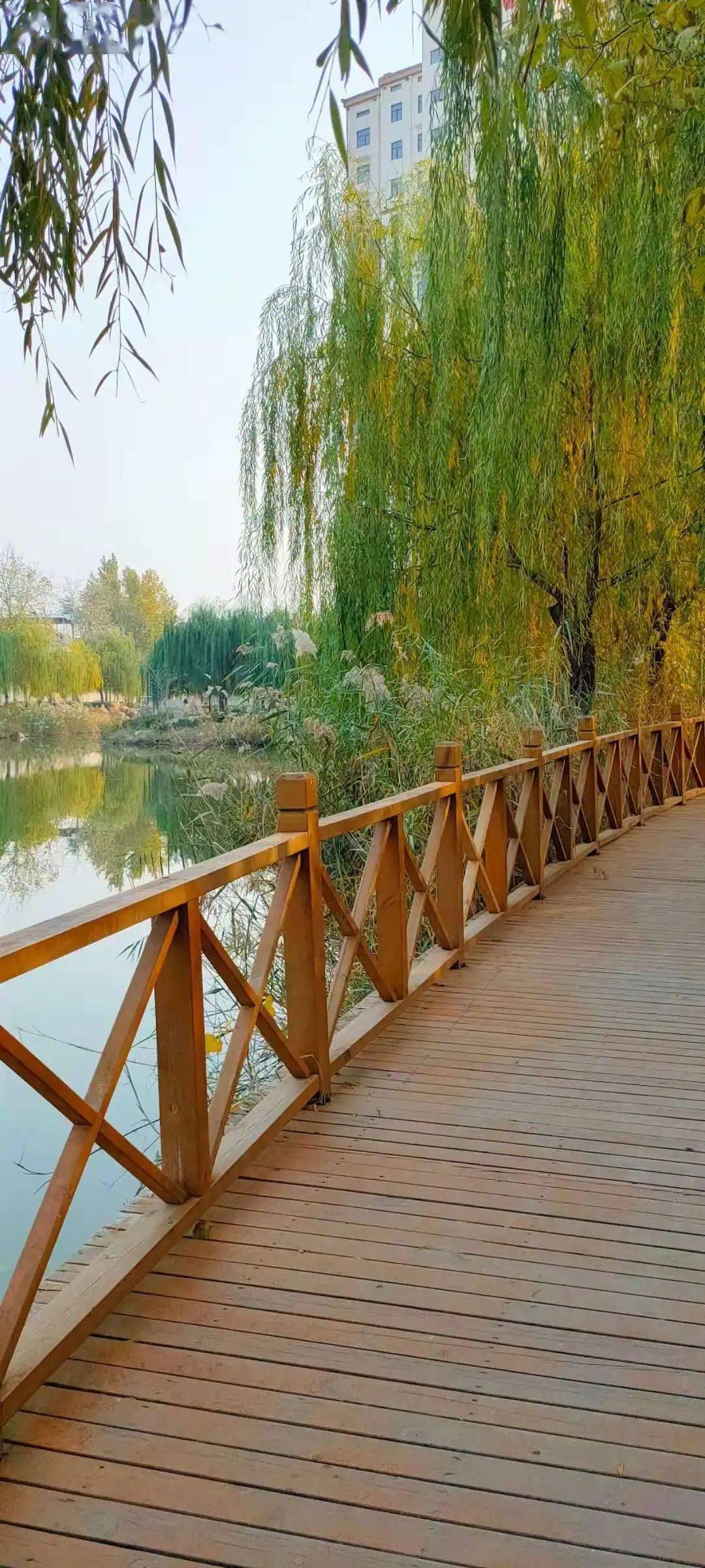 长垣这个"网红"游园,藏着最美的秋色!周末走起~_东湖公园