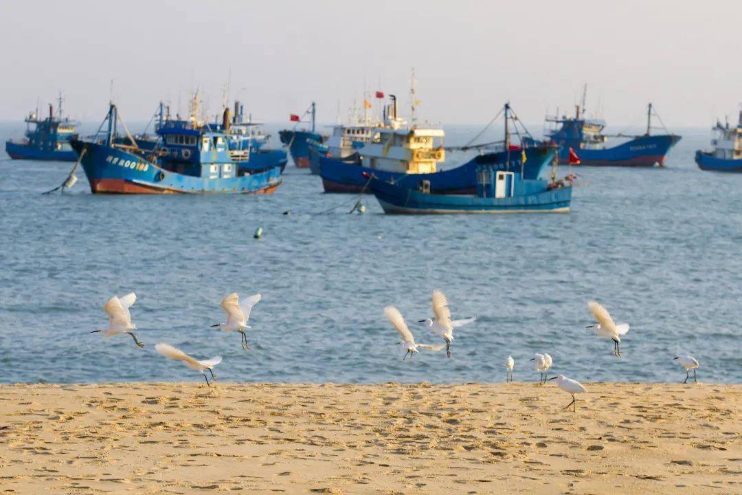 金井围头村,南江村上榜国家级名单!