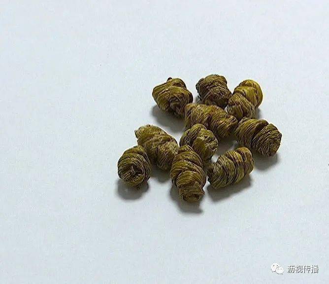 食品药品监管视窗|中医师教你四招识别石斛真假好坏