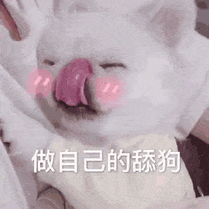 300_300gif 动态图 动图