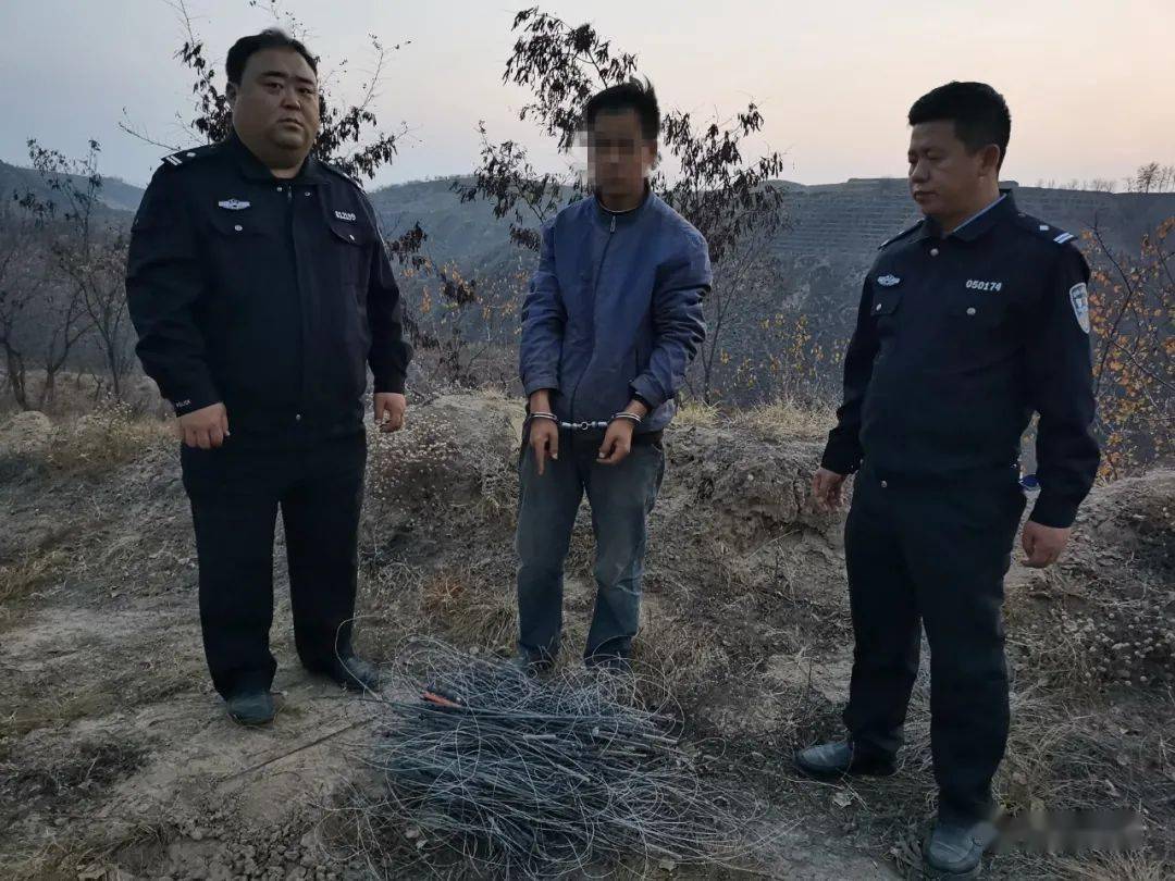 有力的对破坏辖区内野生动物资源安全,禁火期违规野外用火等违法行为