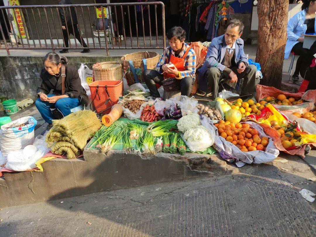 宜宾菜市场人间烟火的真实味道去了之后