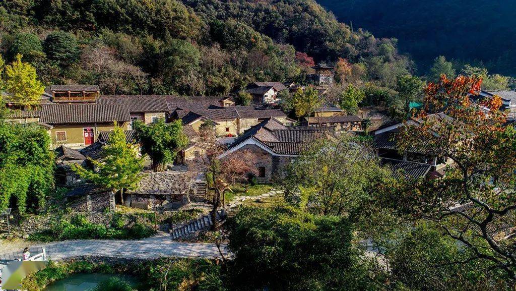 拈花谷又火了_手机搜狐网