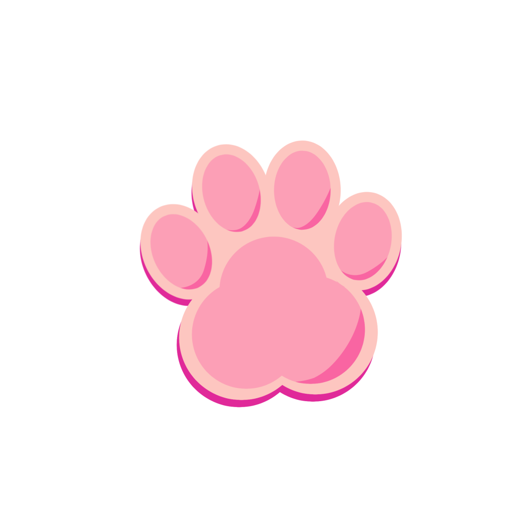 新手铲屎官你需要知道的那些事儿