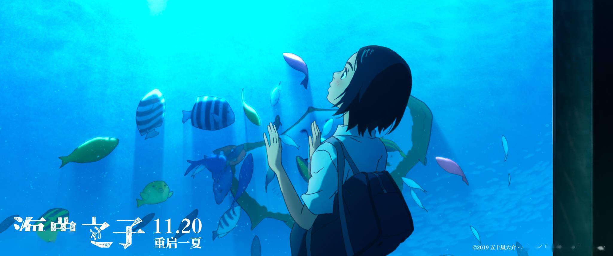 《海兽之子》带你拾回2020年夏天遗失的美好_电影