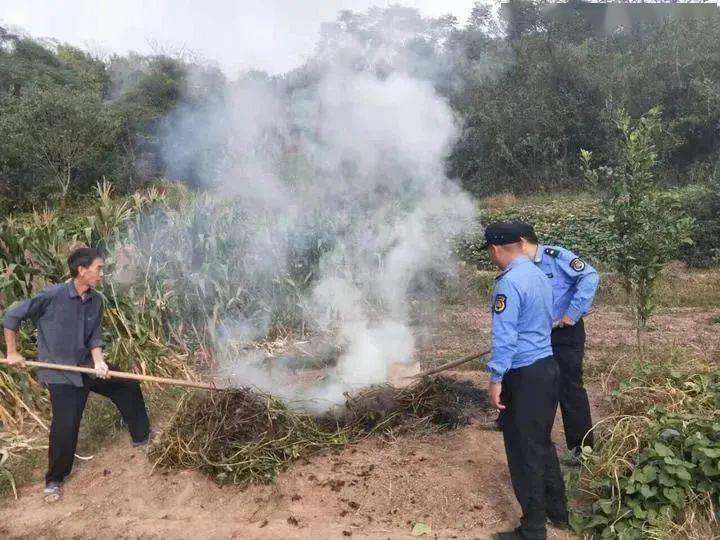 特大好消息15日起村干部将有新任务严查4件被叫停的事你们村开始了没