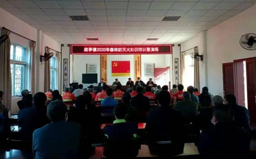 各地快讯这里有7条快讯