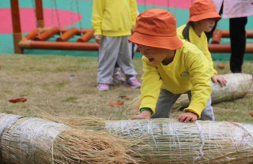 【龙宝新闻站】"知农事~惜农食" ——龙柏二幼小班幼儿主题实践活动