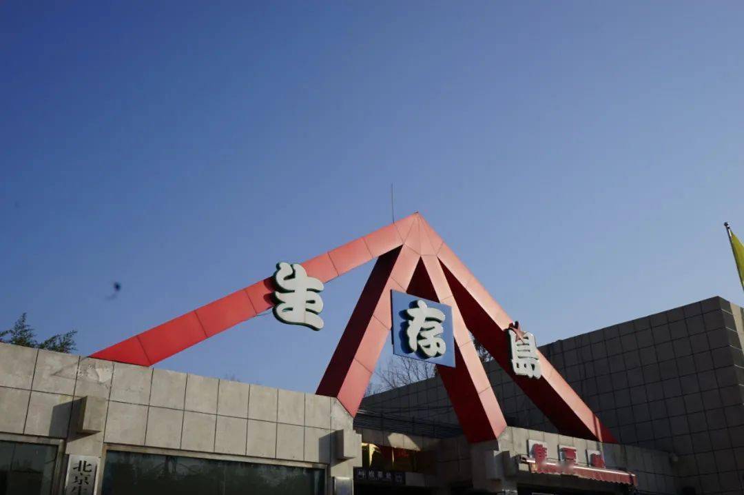 美的体验生存岛之旅