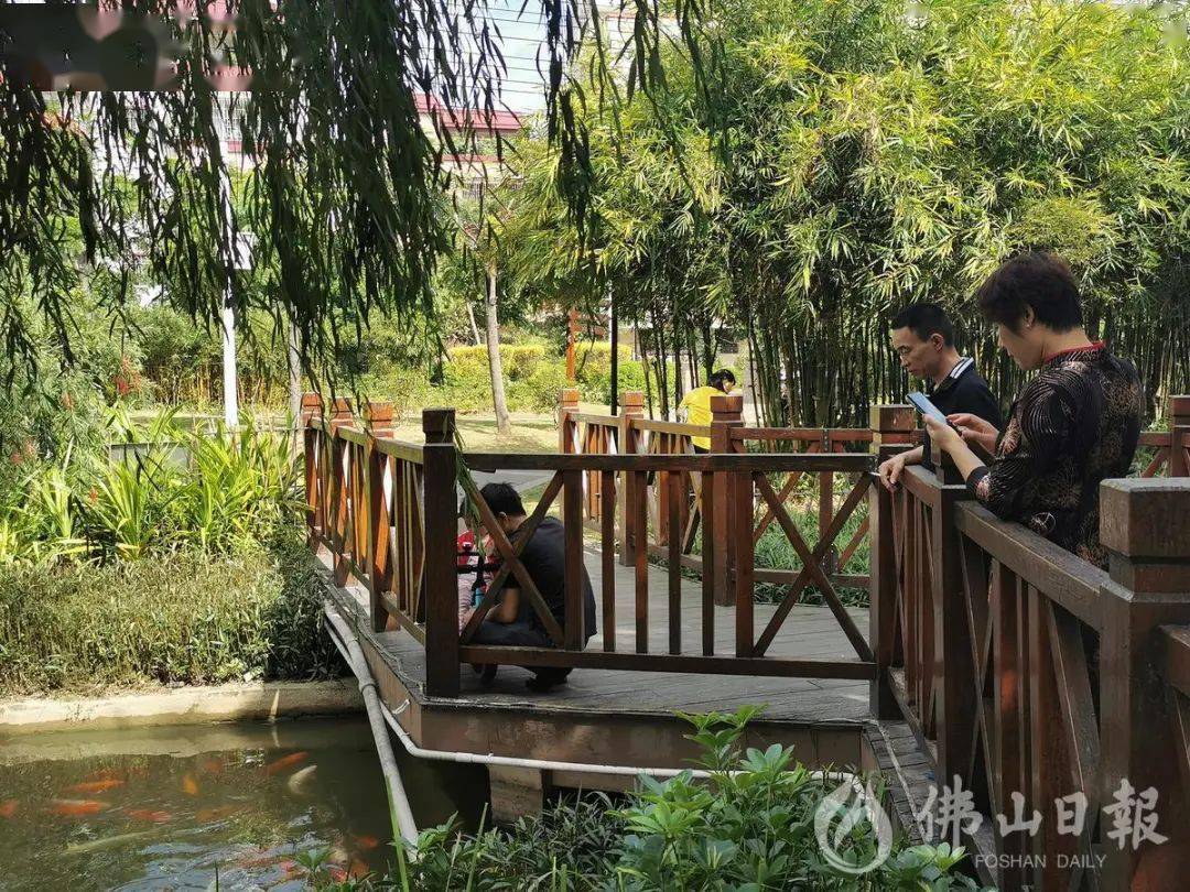 张槎大富村:大力整治"散乱污",昔日养猪场今变休闲公园