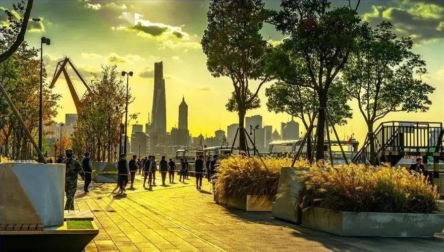 新时代文明实践洋泾街道的新时代文明实践线路小编带你一起品味