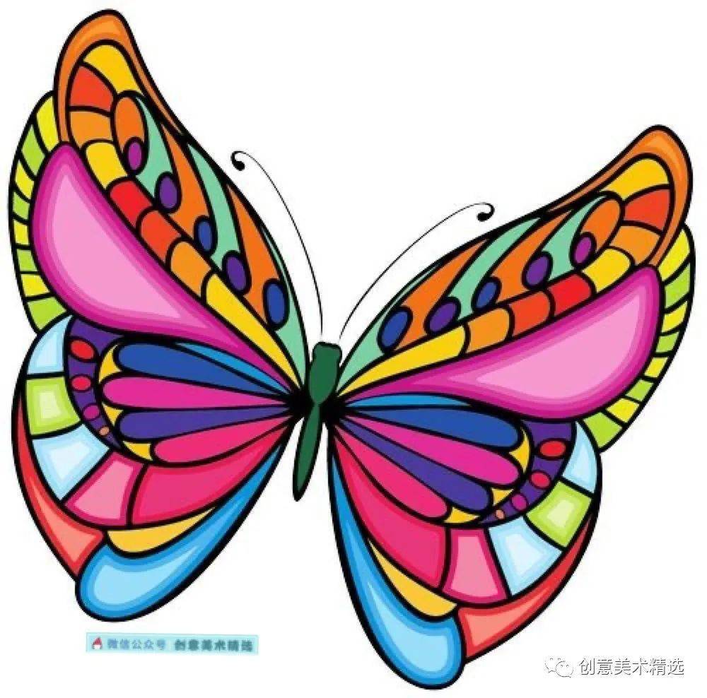 漂亮的蝴蝶主题色彩装饰画,感受线描与色彩的融合之美!