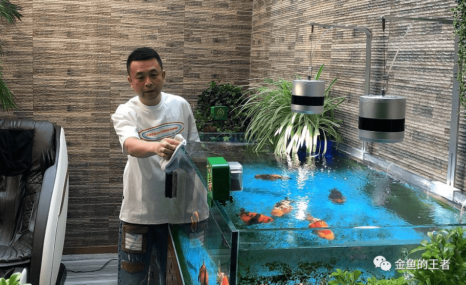 一个人养鱼后的10大变化你占了几个