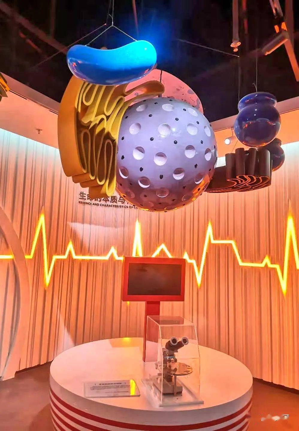 漯河市科技馆内部,高清图片曝光!