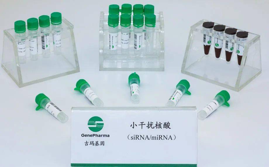 据悉,吉玛基因的产品和服务涵盖了上游rna合成单体,中游小核酸及相关