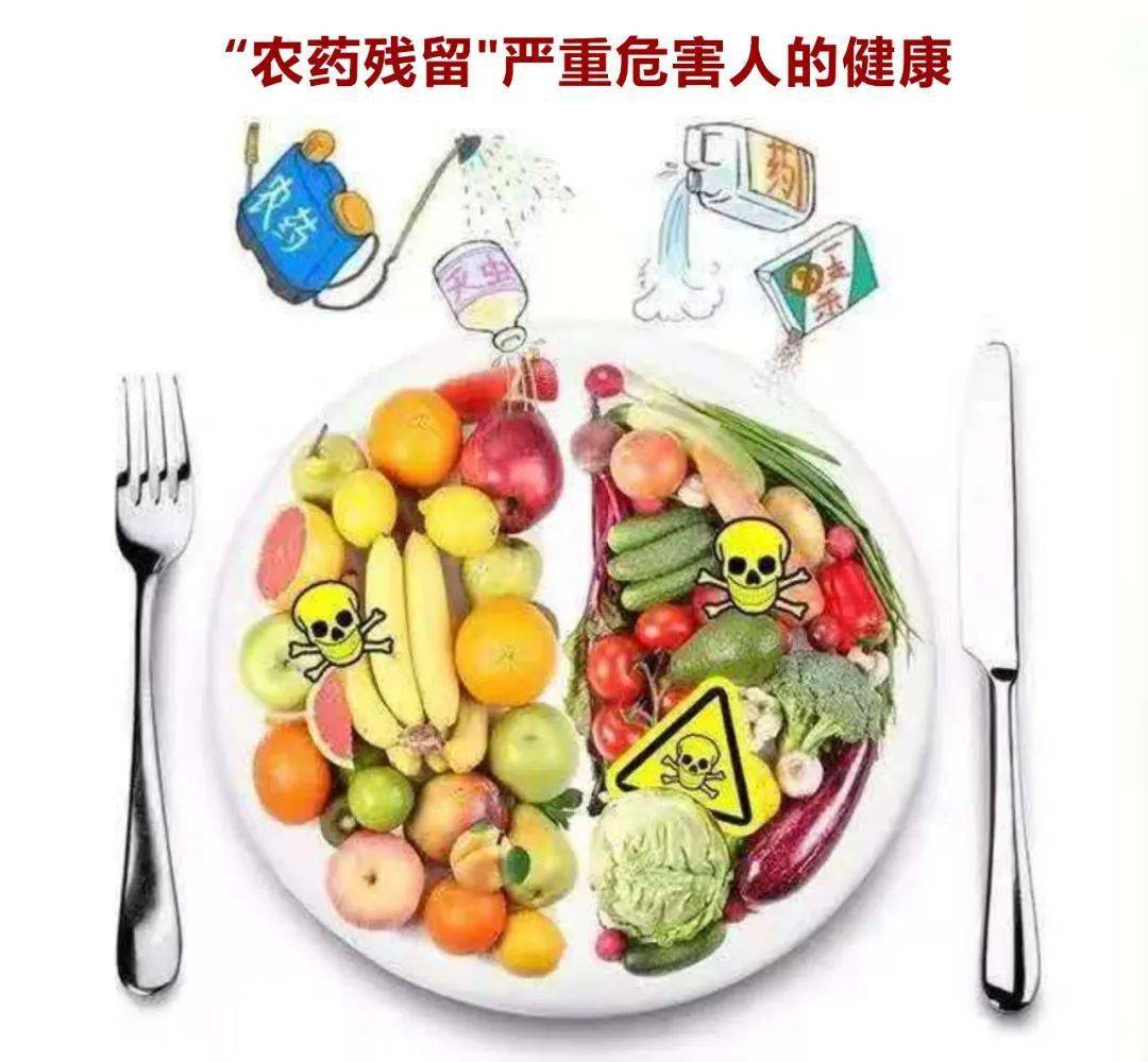 给大家提供安全可靠的放心蔬果,新锦江超市特设立专业的蔬果农药残留