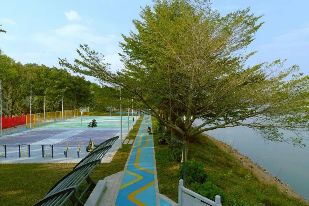 公园上新14活力增城再添休闲好去处