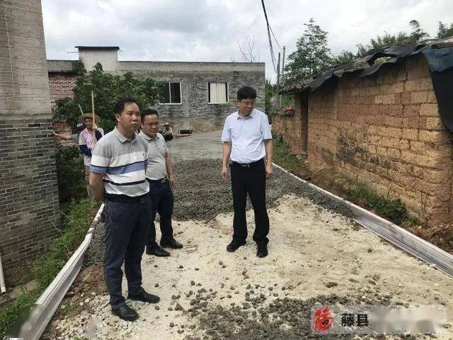 广西藤县金鸡镇镇长图片