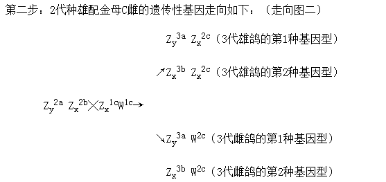 詹森育种的精髓双头金母