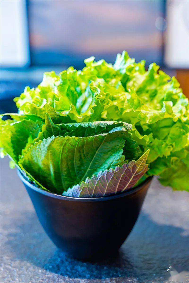 一周吃三次不嫌多都怪我这家烤肉店推晚了