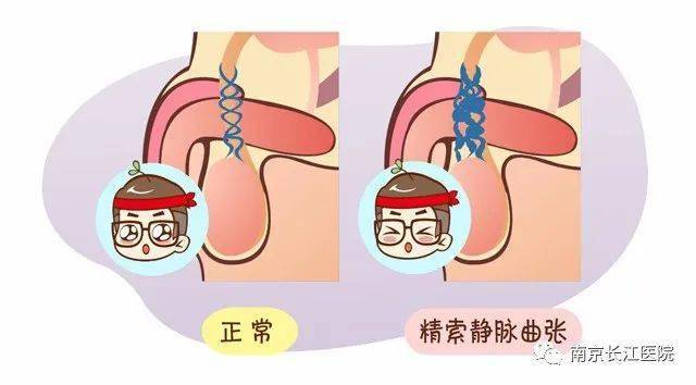 男性生殖健康与防病知识手册文本(男性生殖健康与防病知识手册文本图片)-第2张图片-鲸幼网