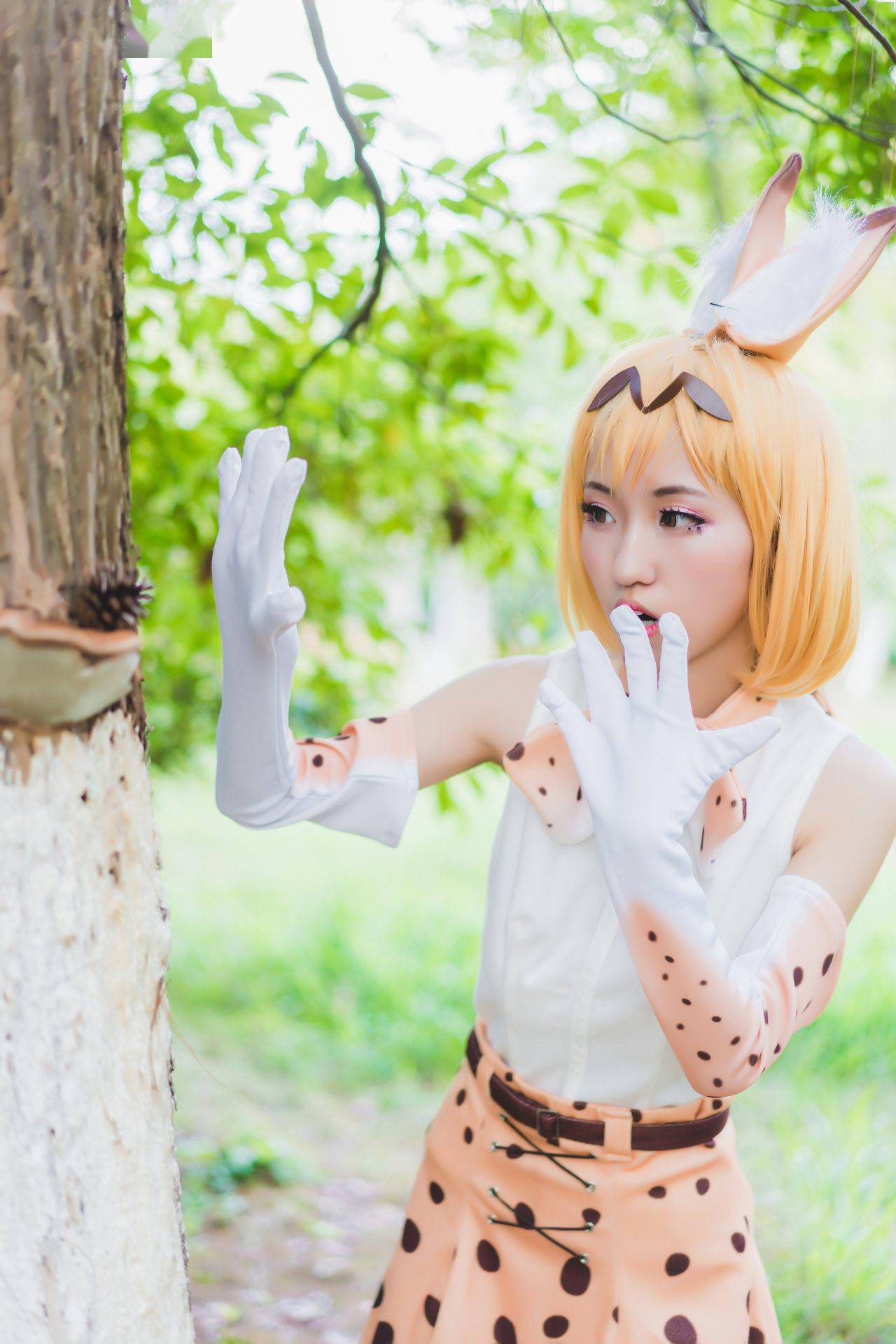 兽娘动物园薮猫cosplay