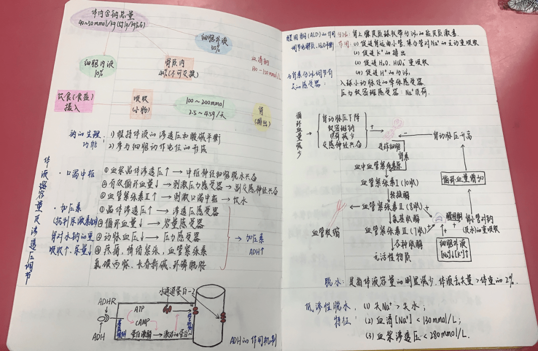 红烛荐读课堂笔记大赛结果出炉快来看看你上榜了吗