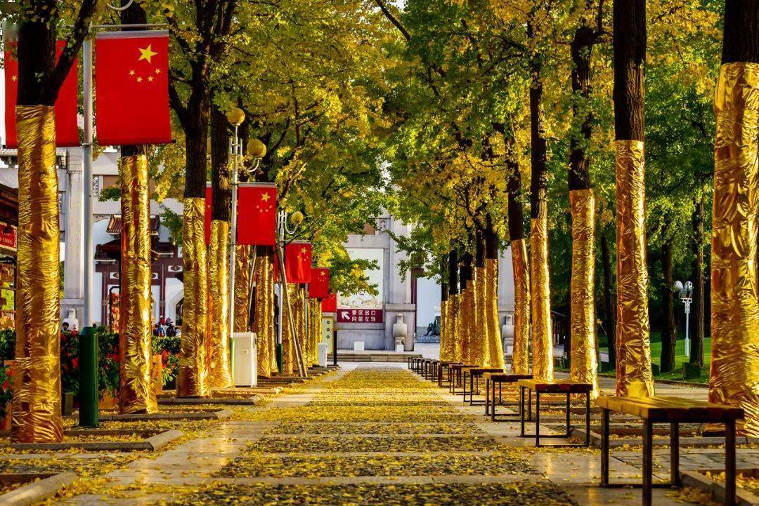 灵山金色菩提大道绝美上线祈福邮局本周末幸福开业你来写卡片吗