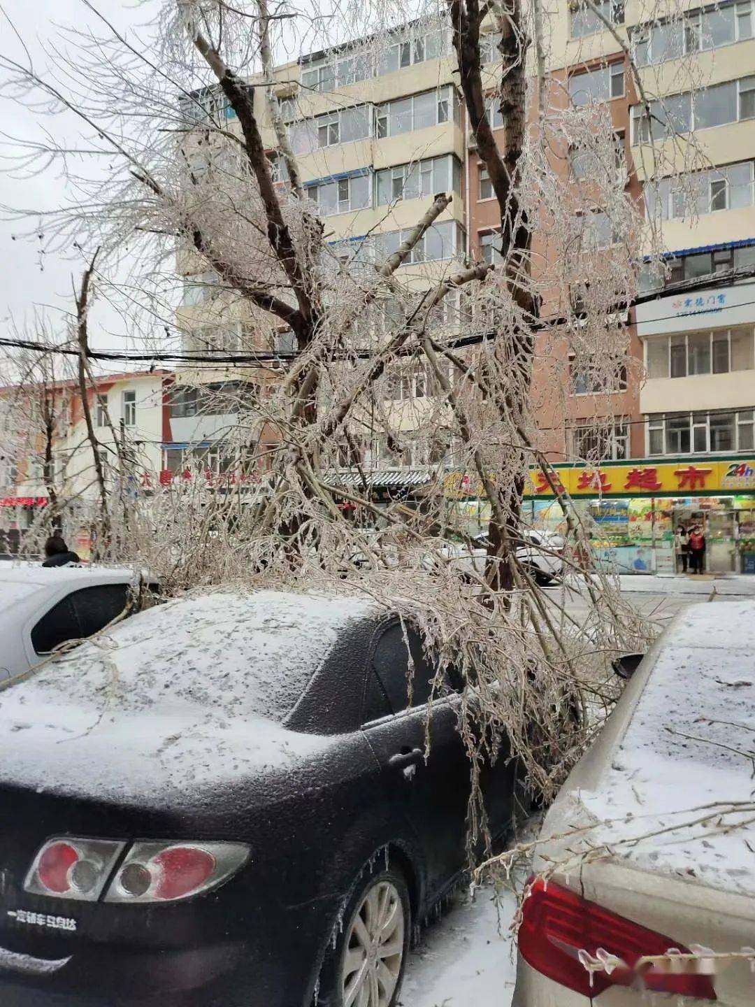 罕见冻雨长春冰封最新图频汇总供电供水供热轨道交通抢修最新进展