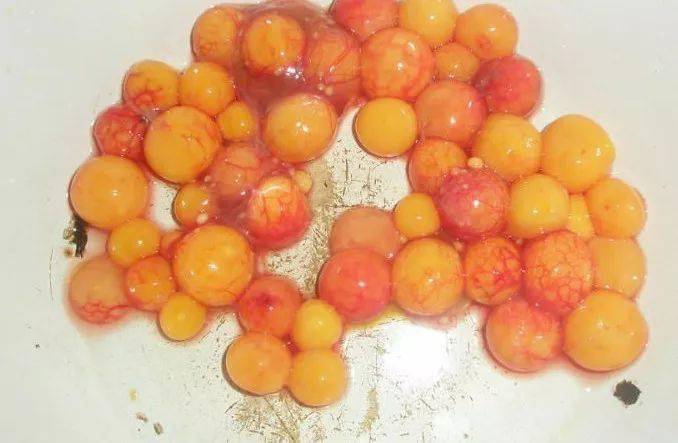 据说它的甲,肉,血,卵,胆都有药用价值,当然须遵大夫指导使用.