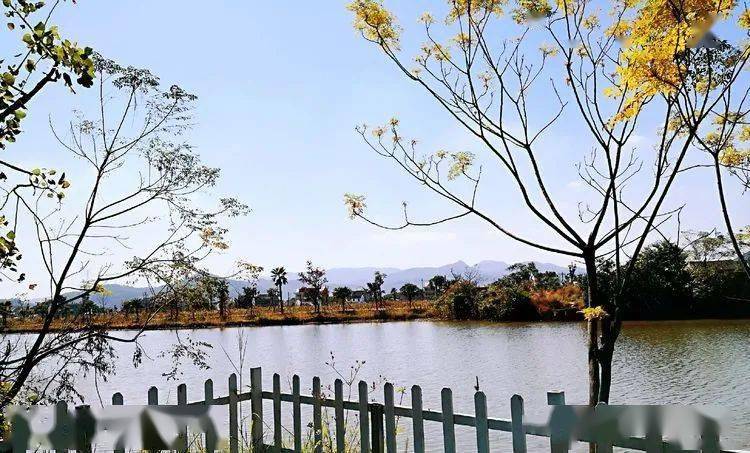 我在七都岛中岛生态园打卡