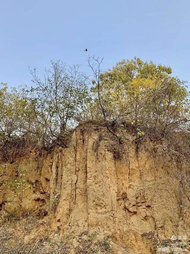 距颜良墓约一公里,找到了文丑墓.