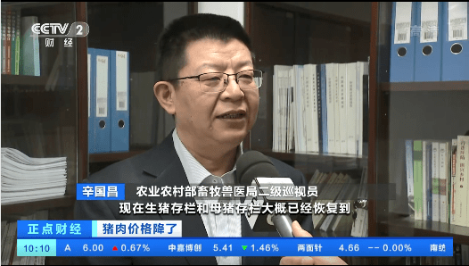农业农村部,国家发改委齐发话,能繁母猪存栏连续13月增长,存栏3950万
