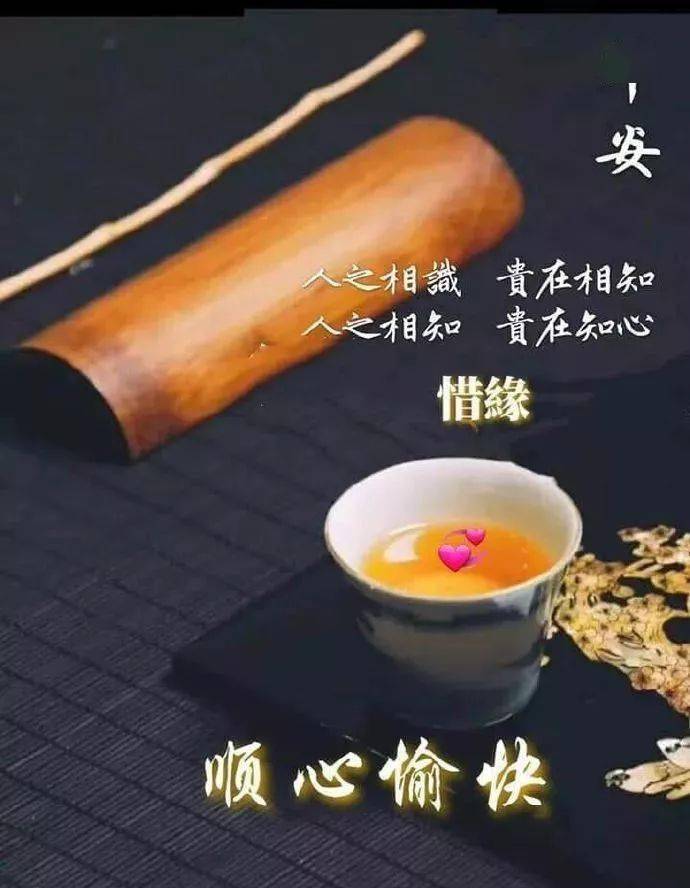 特漂亮唯美的早上好句子集锦,新版早安心语暖心问候短信大全