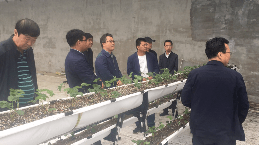 固原草莓团购网站_固原草莓基地在哪里