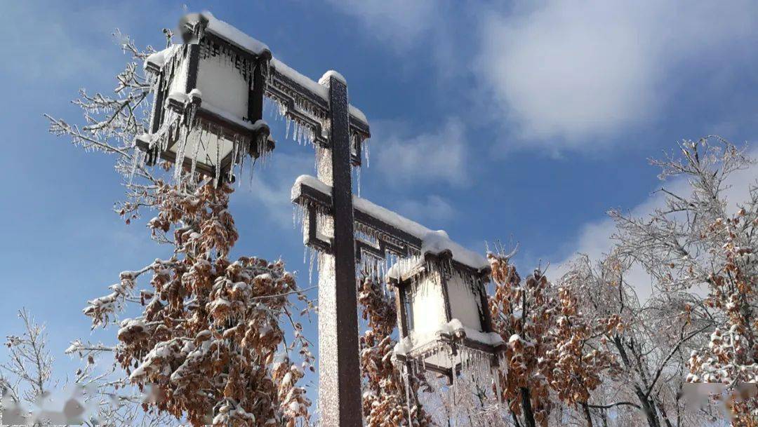 今天長春雪景有多美看這一條就夠了