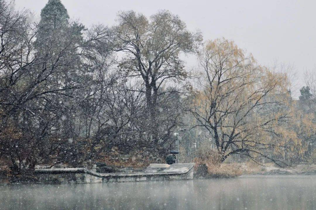 許一場深情共白頭_燕園