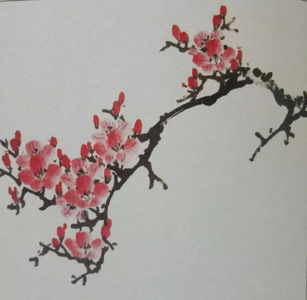 国画教程杜鹃花的画法