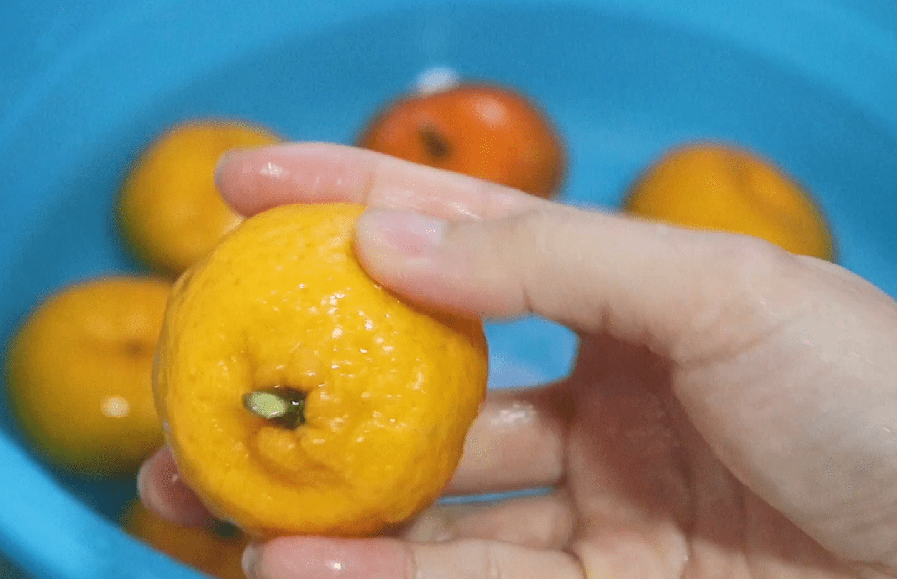橘子皮素材-橘子皮图片-橘子皮素材图片下载-觅知网