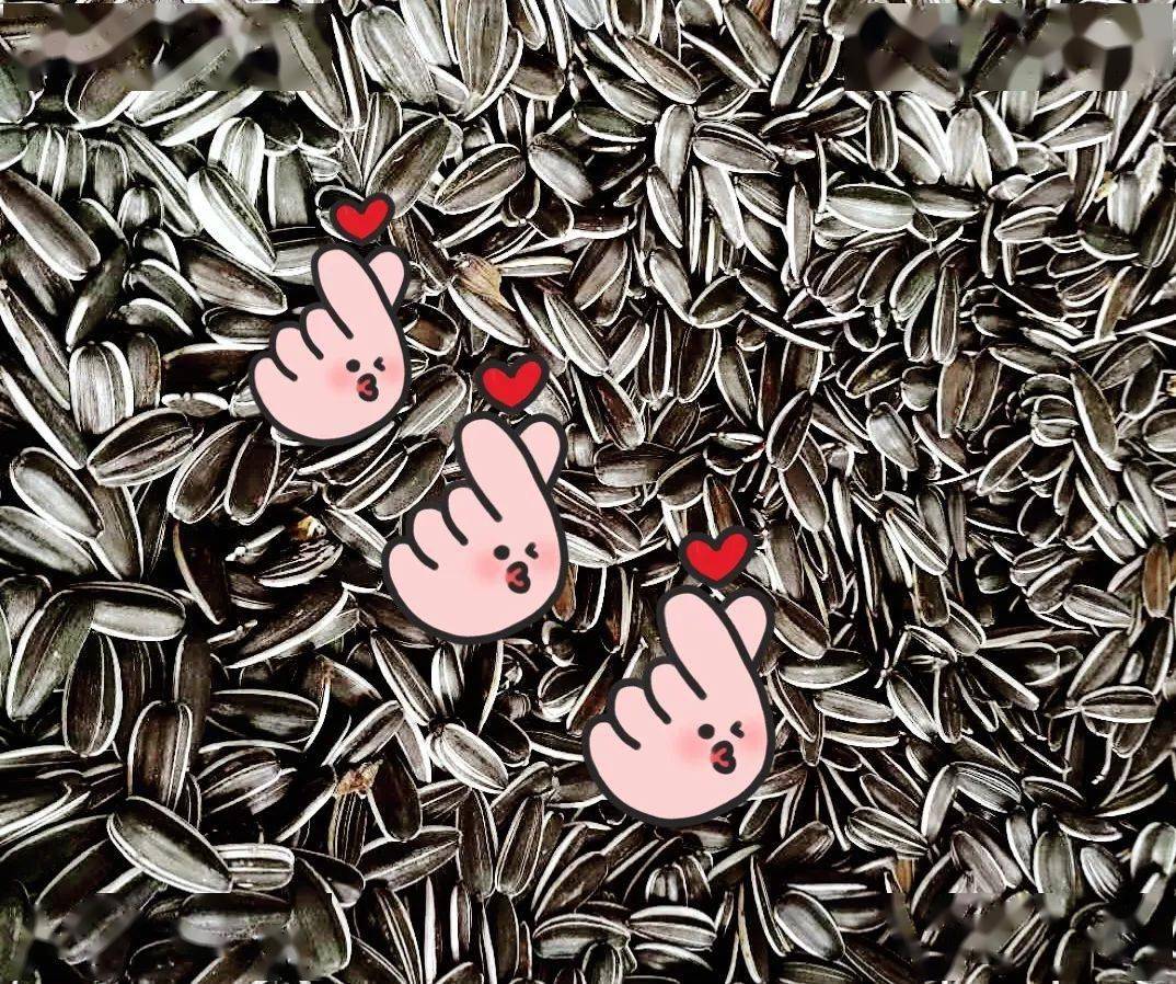 爱心助农,传递温暖,最好的葵花籽送给最有爱的您!