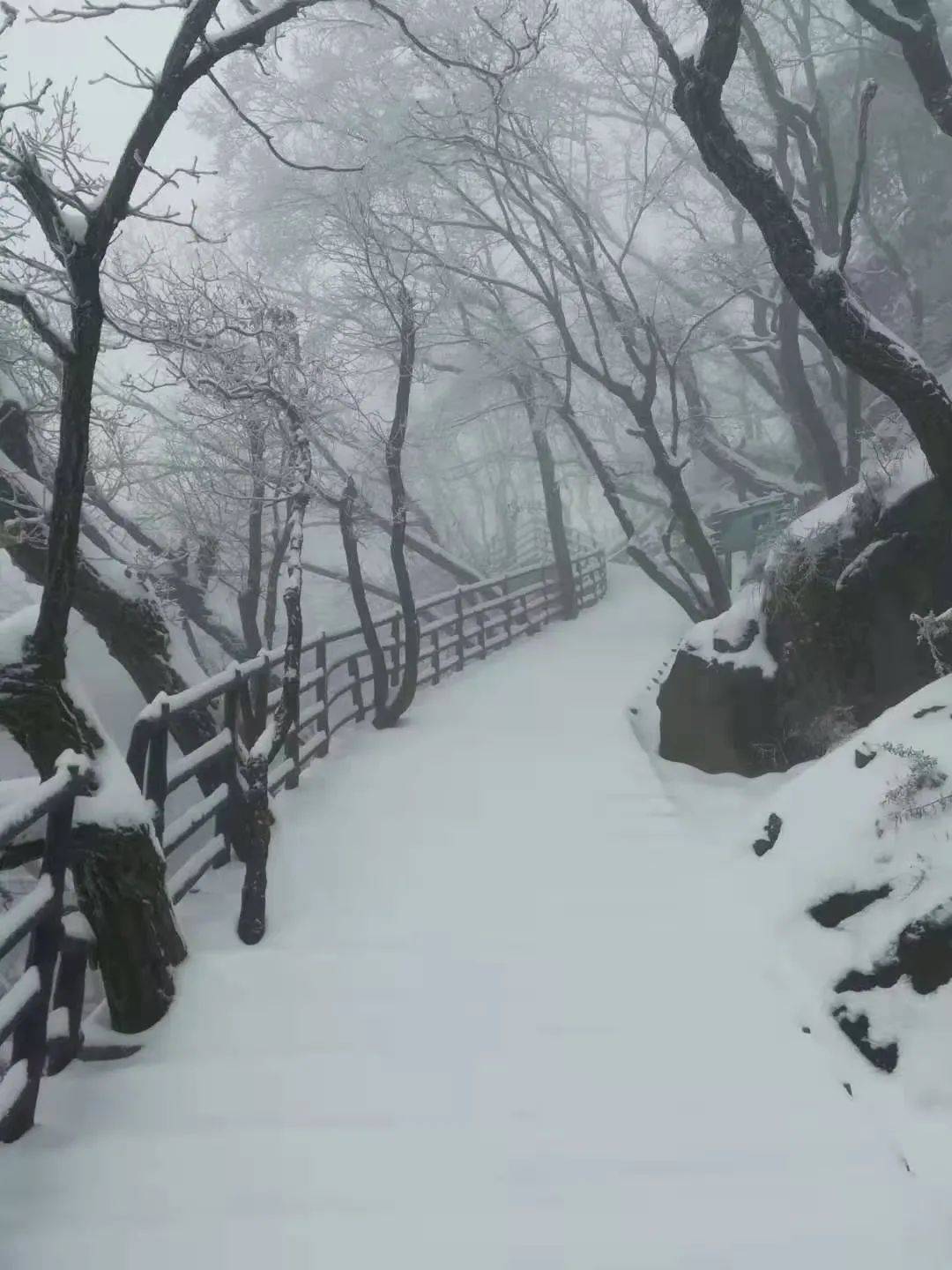 相信济源市区的第一场雪很快与你不期而遇