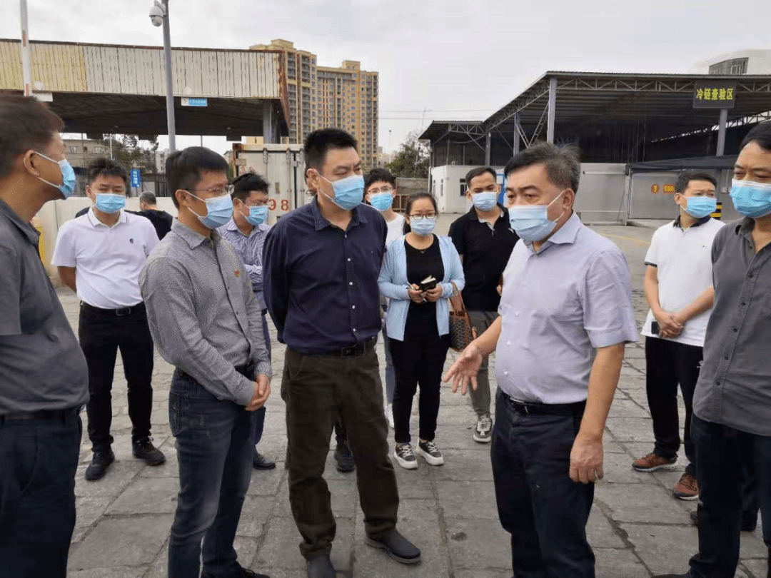 市领导到我镇检查疫情防控工作